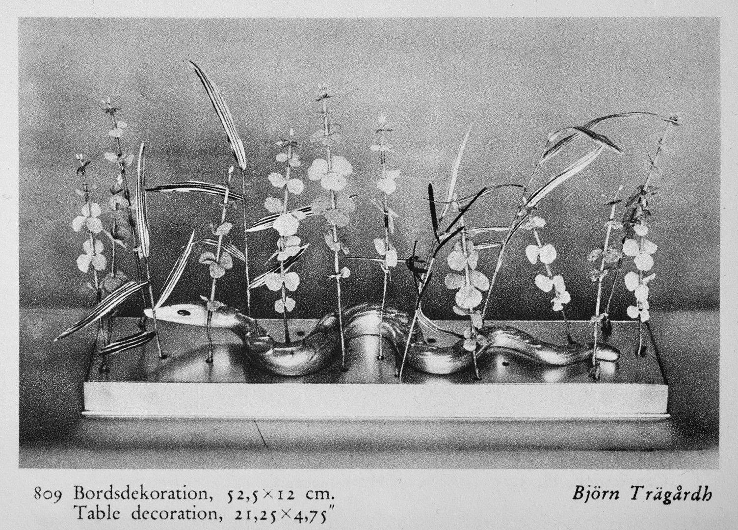 BJÖRN TRÄGÅRDH. 