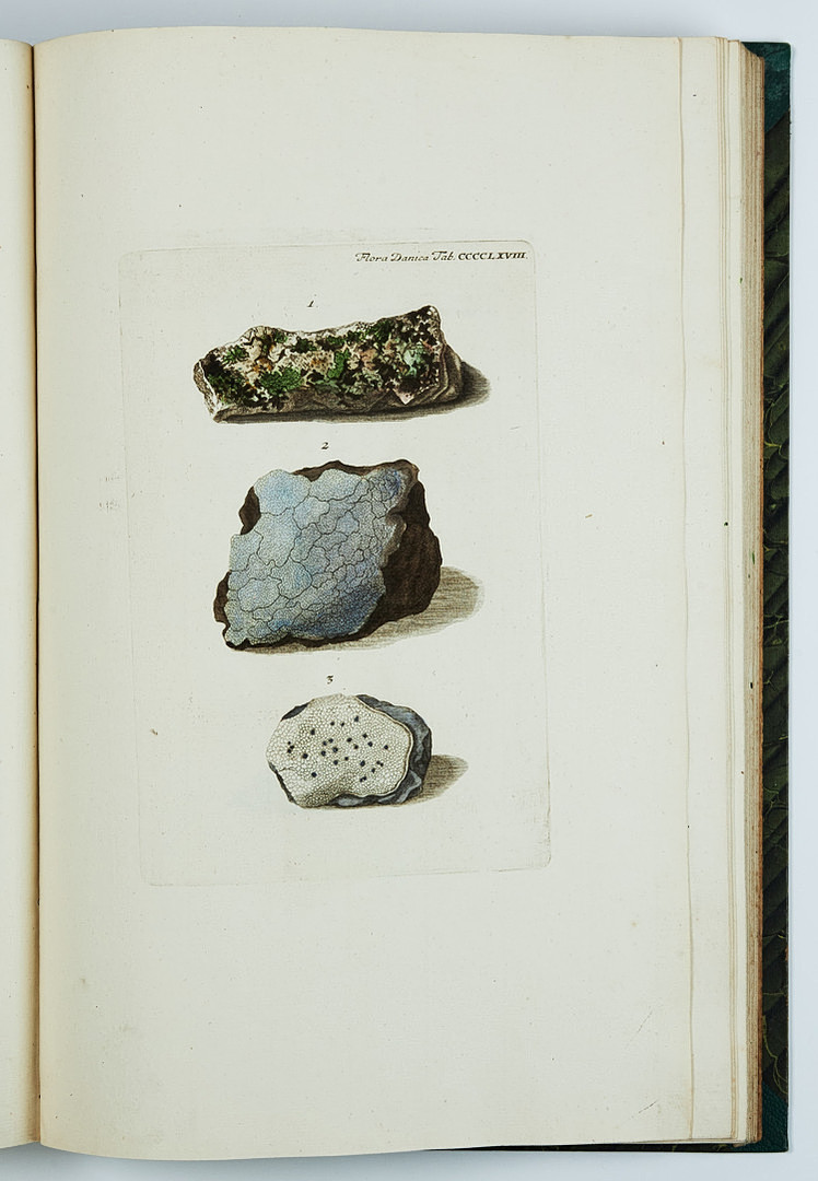 FAMOUS FLORA DANICA with almost 3000 plates, vol. III-XVII and Supplement in 17 volumes. and 3 more.