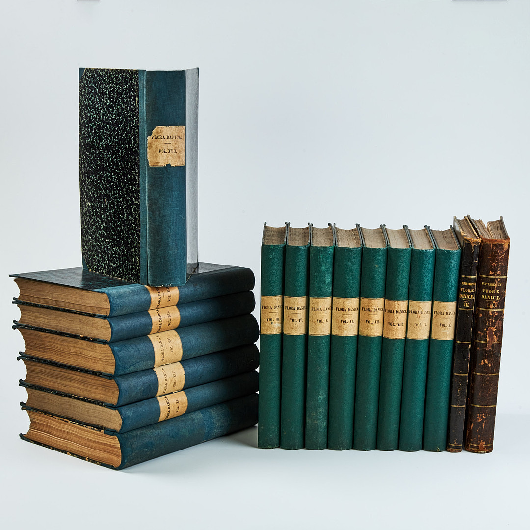 FAMOUS FLORA DANICA with almost 3000 plates, vol. III-XVII and Supplement in 17 volumes. and 3 more.