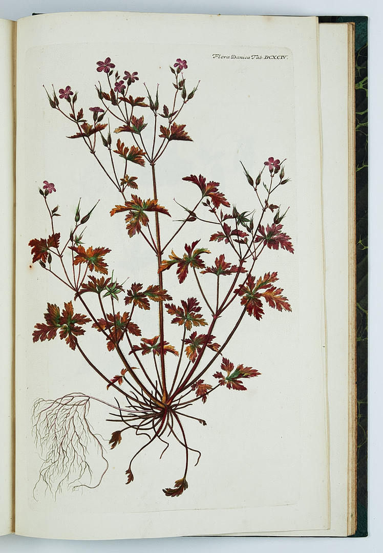 FAMOUS FLORA DANICA with almost 3000 plates, vol. III-XVII and Supplement in 17 volumes. and 3 more.
