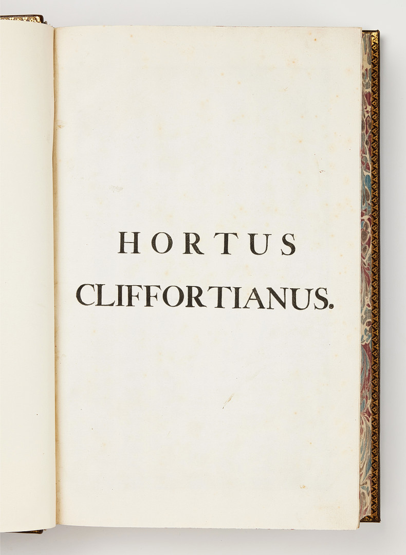 LINNAEUS'S HORTUS CLIFFORTIANUS, Amsterdam 1737.
