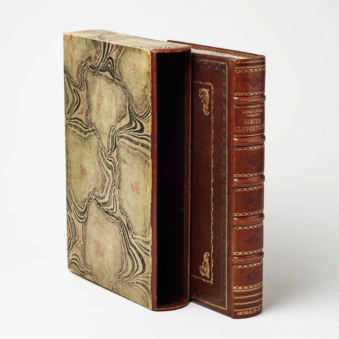 LINNAEUS'S HORTUS CLIFFORTIANUS, Amsterdam 1737.