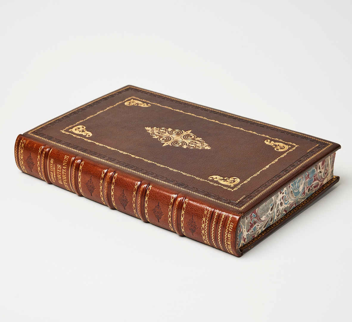 LINNAEUS'S HORTUS CLIFFORTIANUS, Amsterdam 1737.