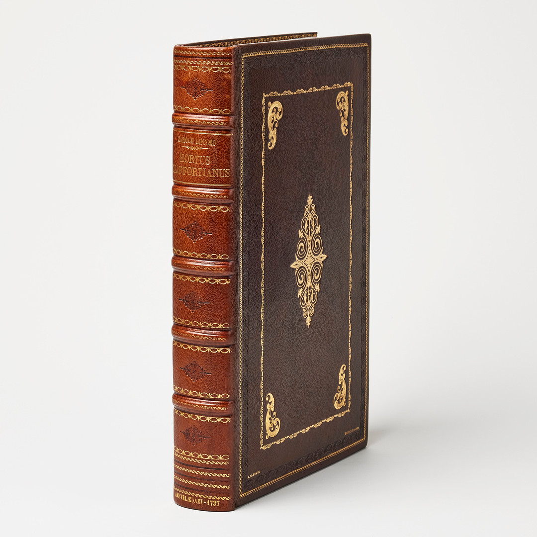 LINNAEUS'S HORTUS CLIFFORTIANUS, Amsterdam 1737.