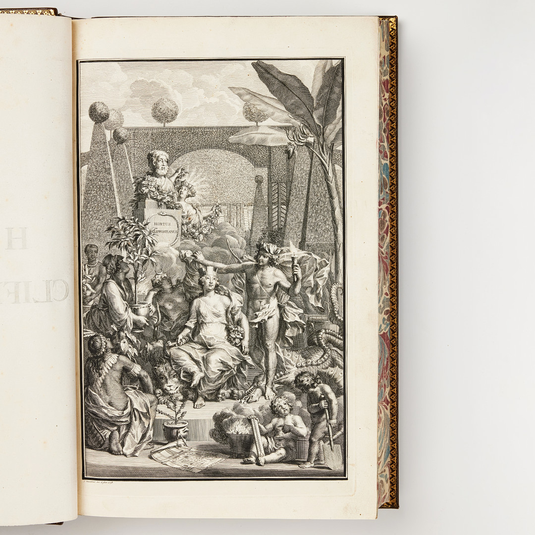 LINNAEUS'S HORTUS CLIFFORTIANUS, Amsterdam 1737.