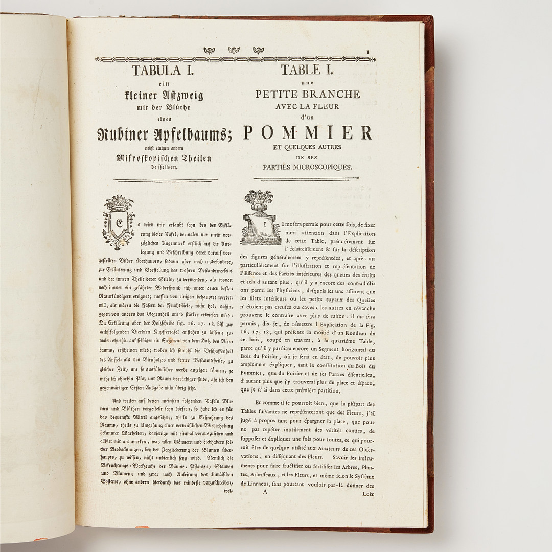 LEDERMÜLLER'S WORK ON THE USE OF THE MICROSCOPE
