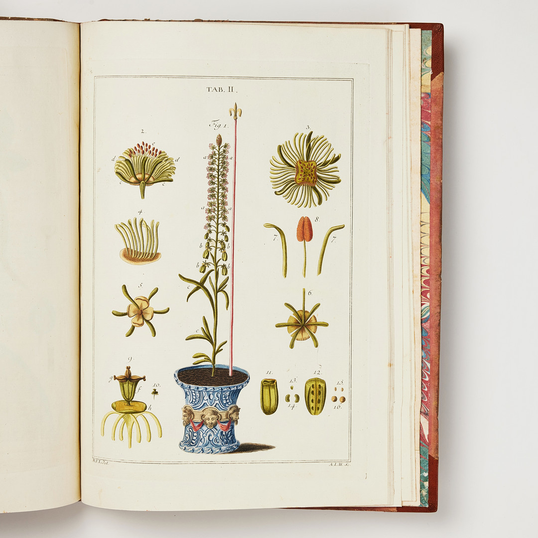 LEDERMÜLLER'S WORK ON THE USE OF THE MICROSCOPE