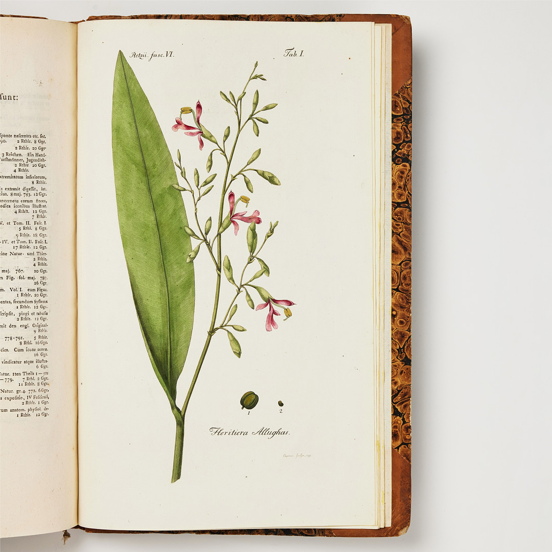 RETZIUS' RARE WORK ON CHINESE PLANTS, Observationes botanicae 1779-1791, with hand-coloured plates.