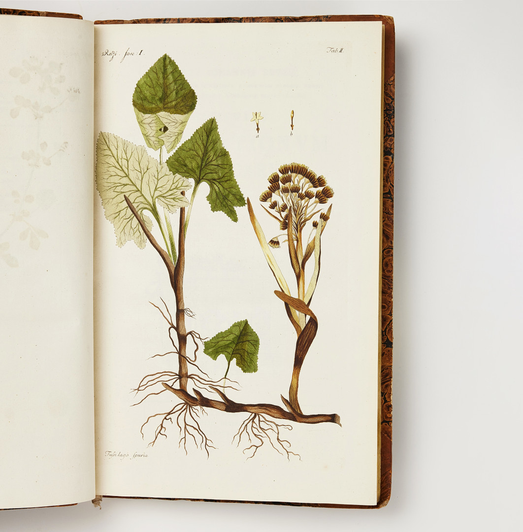RETZIUS' RARE WORK ON CHINESE PLANTS, Observationes botanicae 1779-1791, with hand-coloured plates.