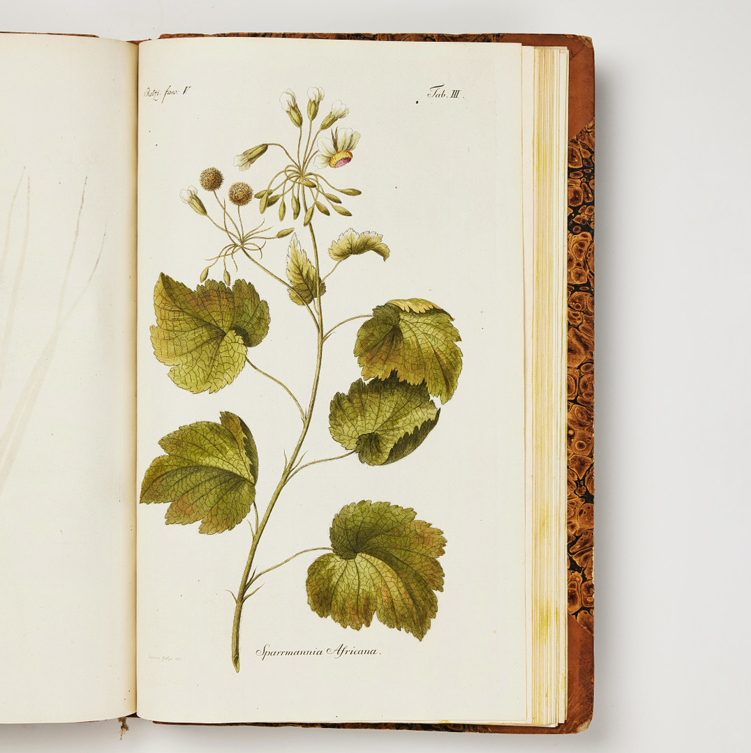 RETZIUS' RARE WORK ON CHINESE PLANTS, Observationes botanicae 1779-1791, with hand-coloured plates.