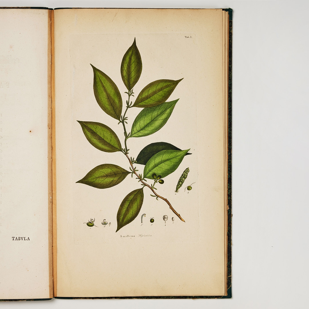 SWARTZ'S RARE WORK ON WEST-INDIAN PLANTS 1794-1801.