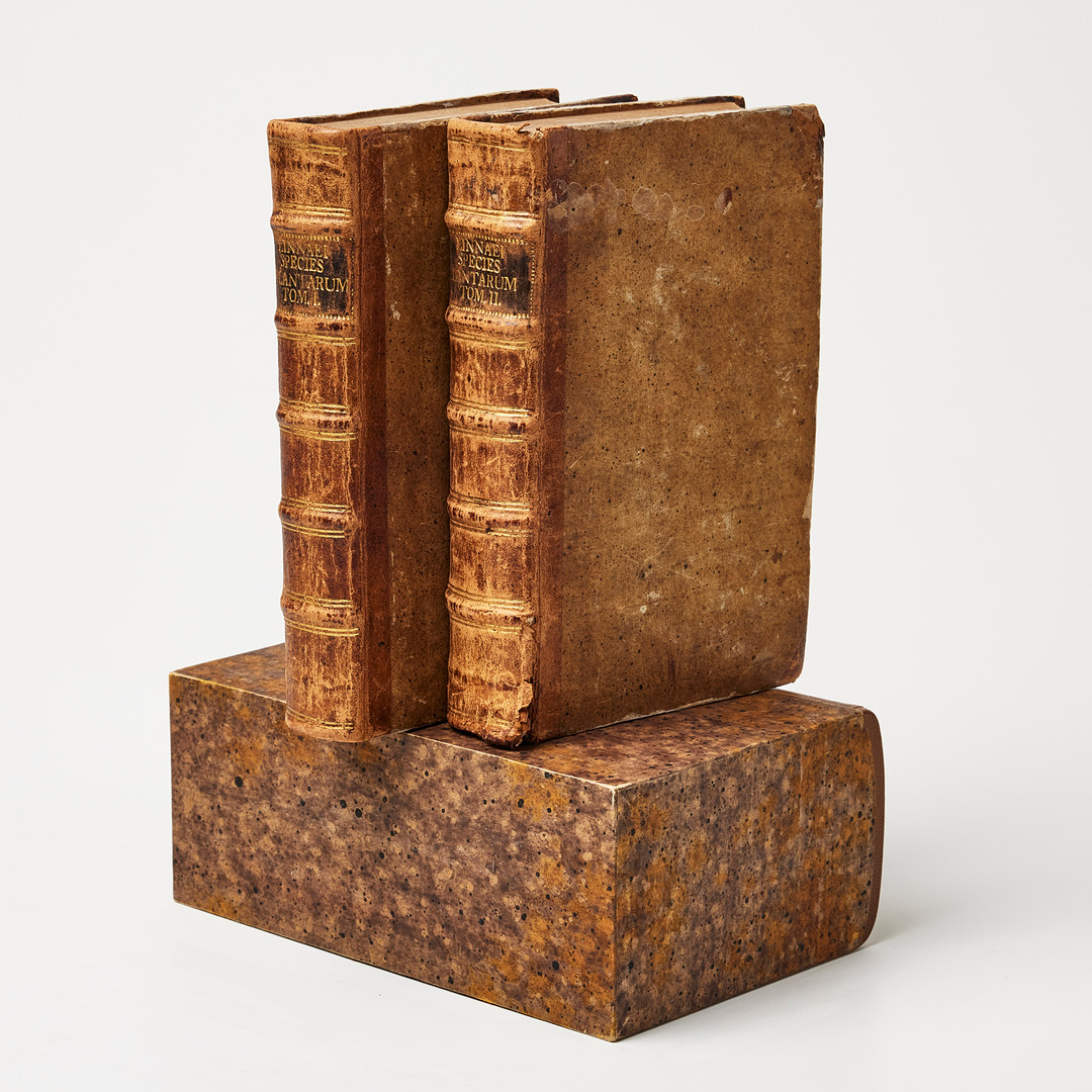 OLOF KALMETER'S COPY OF LINNAEUS' SPECIES PLANTARUM IN first edition second issue, 1753, 2 volumes.