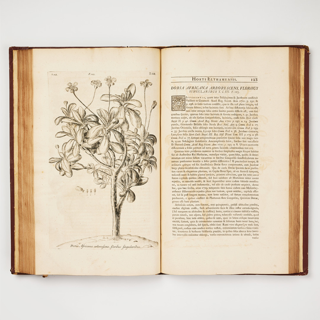 THE FITZWILLIAM-PLESCH COPY OF DILLENIUS HORTUS ELTHAMENSIS 1732. 2 volumes.