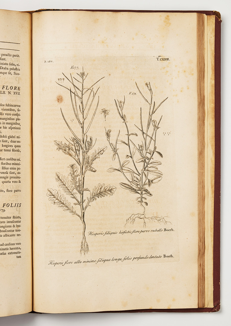 THE FITZWILLIAM-PLESCH COPY OF DILLENIUS HORTUS ELTHAMENSIS 1732. 2 volumes.