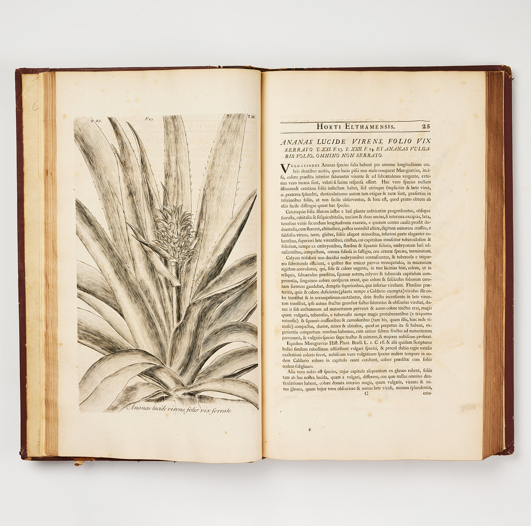 THE FITZWILLIAM-PLESCH COPY OF DILLENIUS HORTUS ELTHAMENSIS 1732. 2 volumes.