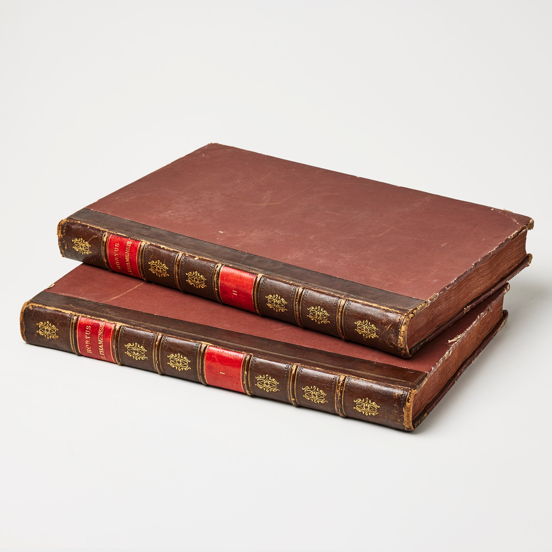 THE FITZWILLIAM-PLESCH COPY OF DILLENIUS HORTUS ELTHAMENSIS 1732. 2 volumes.