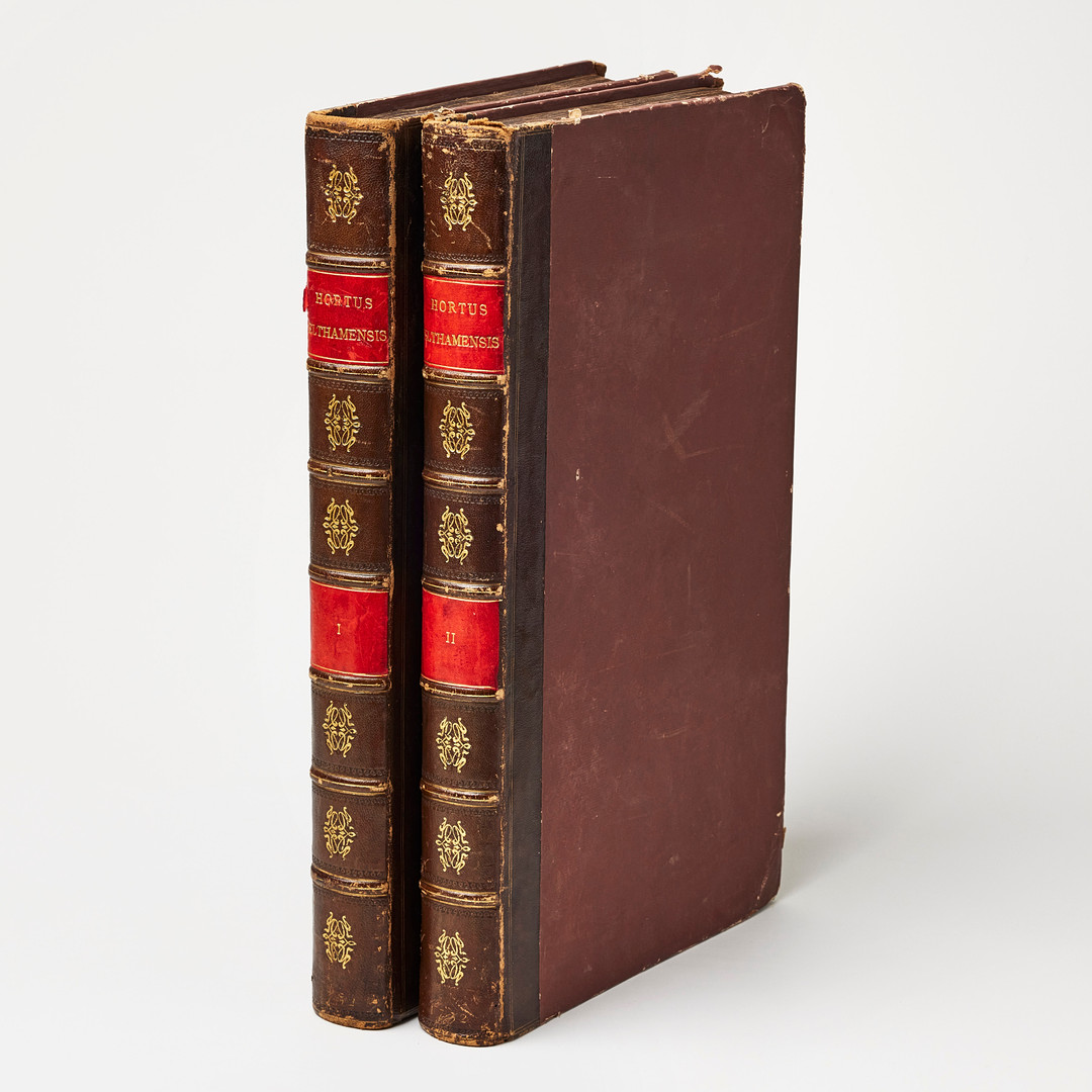 THE FITZWILLIAM-PLESCH COPY OF DILLENIUS HORTUS ELTHAMENSIS 1732. 2 volumes.