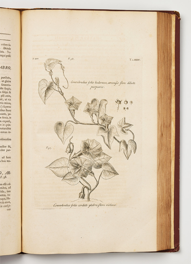 THE FITZWILLIAM-PLESCH COPY OF DILLENIUS HORTUS ELTHAMENSIS 1732. 2 volumes.