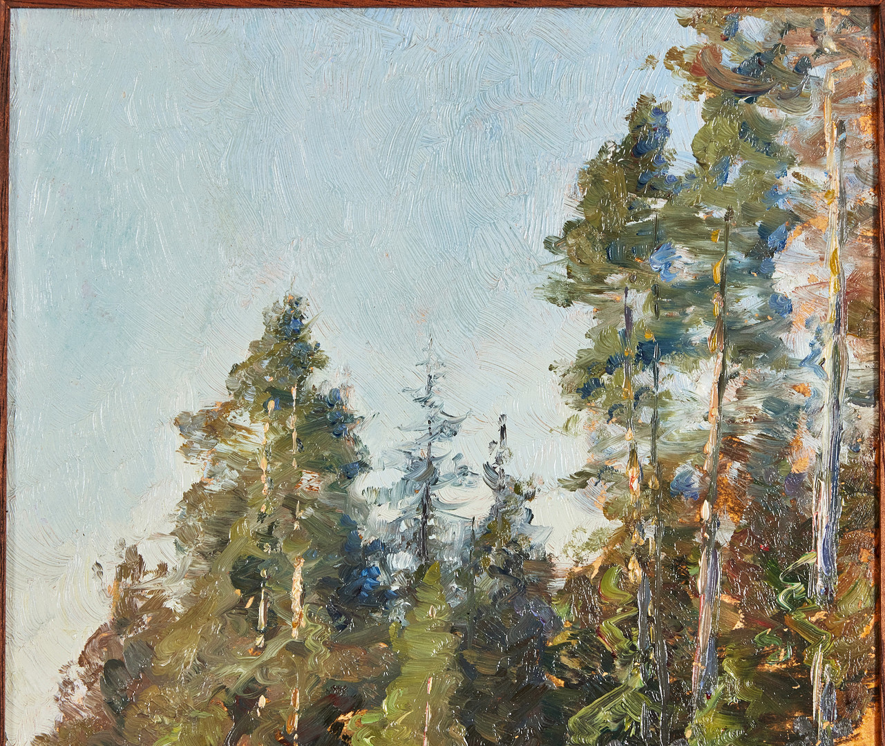 GOTTFRID KALLSTENIUS. Granskog vid sandtag.