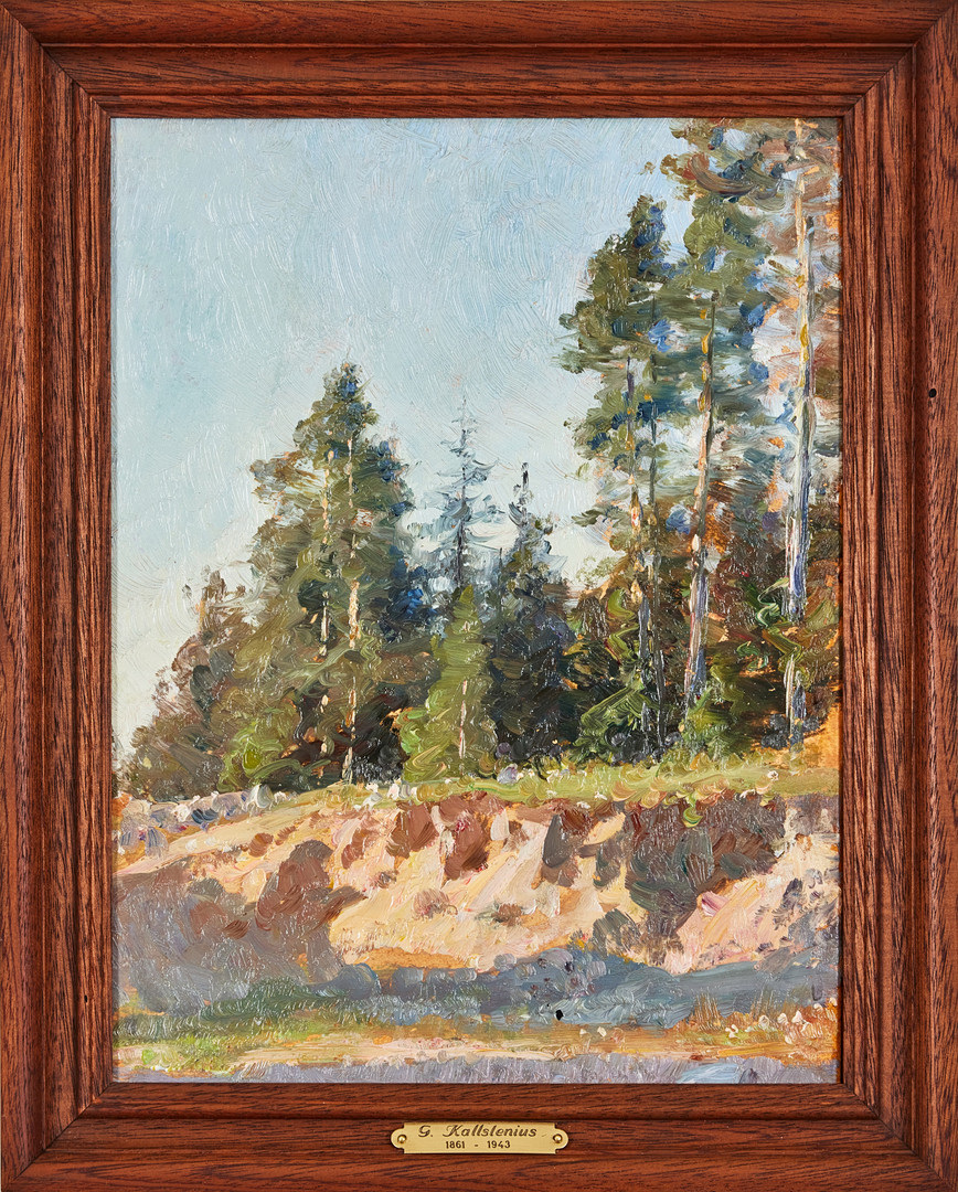 GOTTFRID KALLSTENIUS. Granskog vid sandtag.
