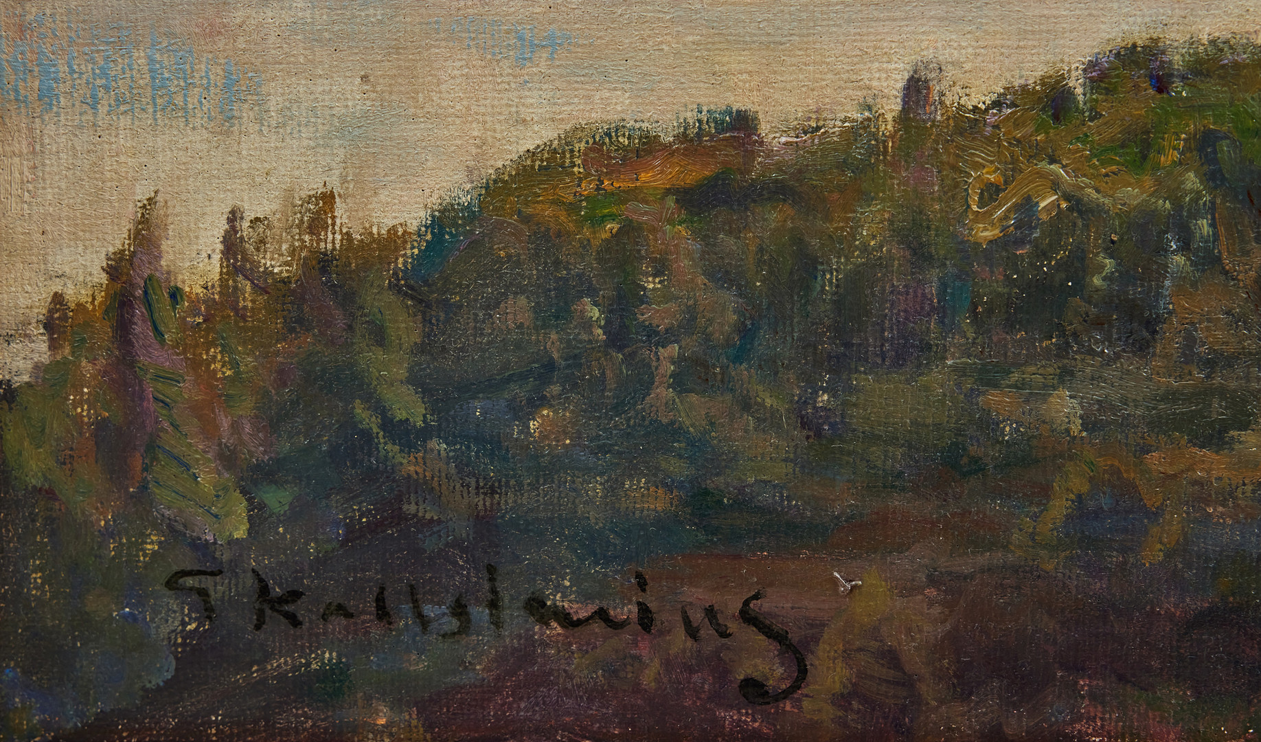 GOTTFRID KALLSTENIUS. Kolmårdens marmorbrott vid Bråviken.