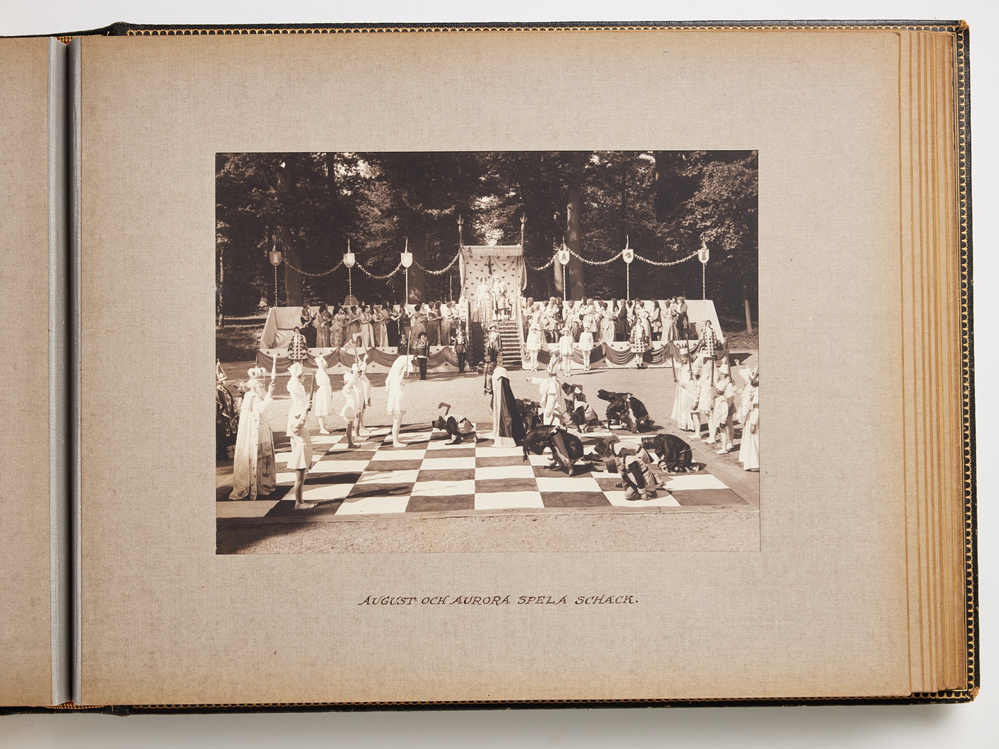 KUNGLIGT ALBUM STILLBILDER UR FILMEN CARL XII 1925.