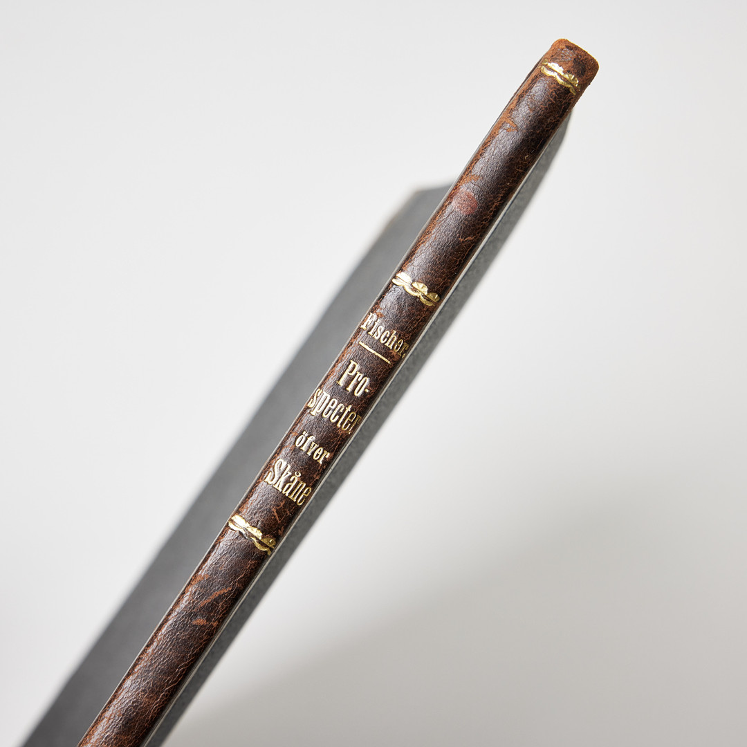 FISCHERS VYER ÖVER SKÅNE I ORIGINAL, 1756.