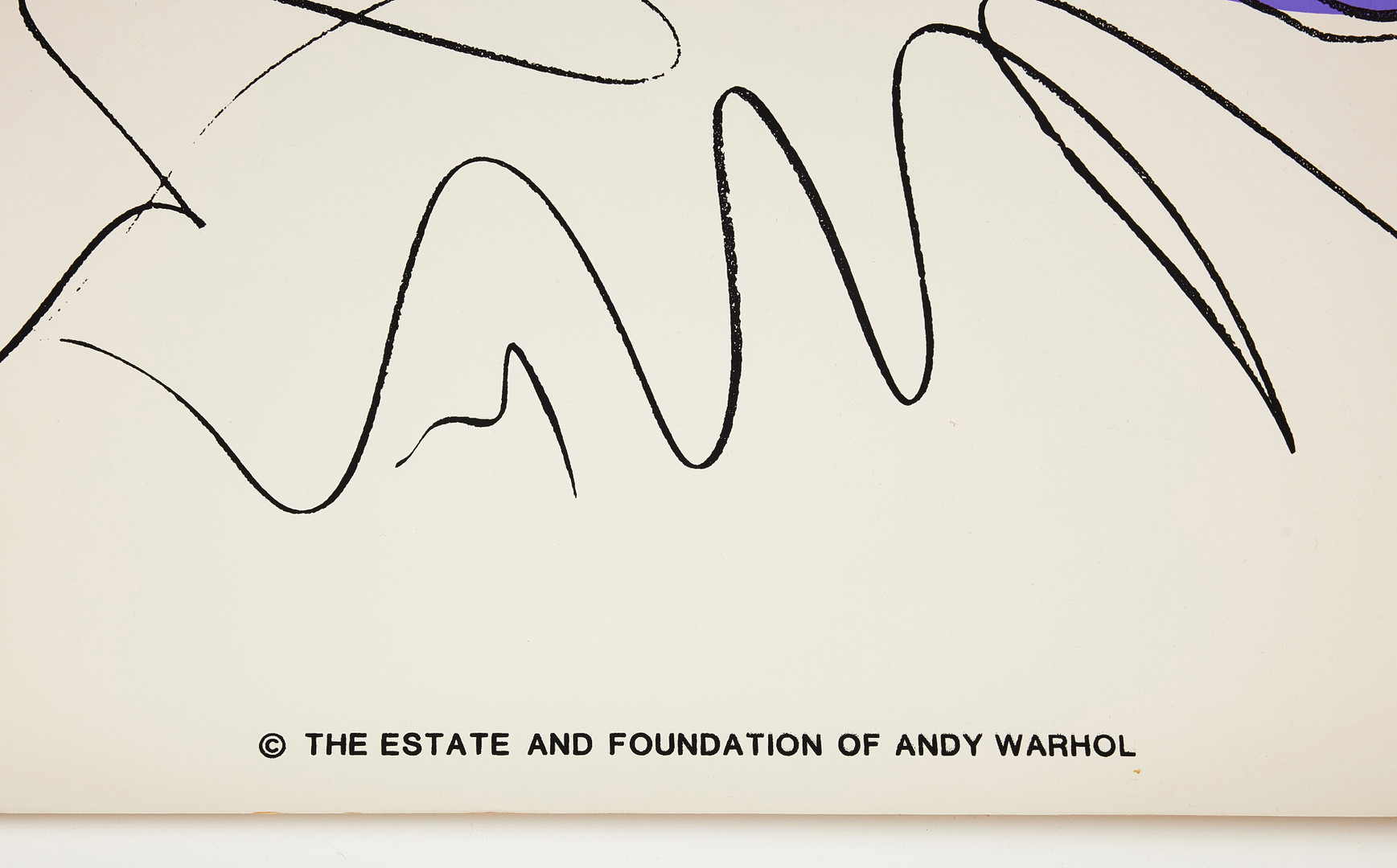 ANDY WARHOL.
