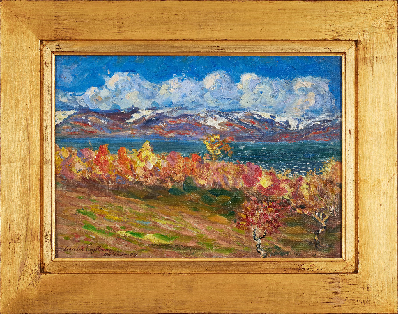 LEANDER ENGSTRÖM. Abisko.
