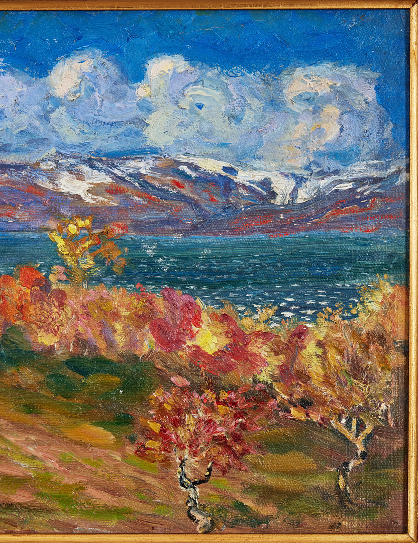 LEANDER ENGSTRÖM. Abisko.