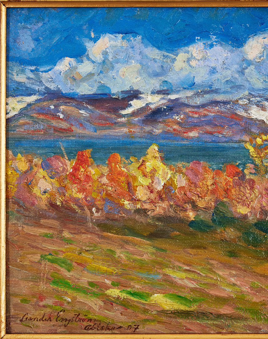LEANDER ENGSTRÖM. Abisko.