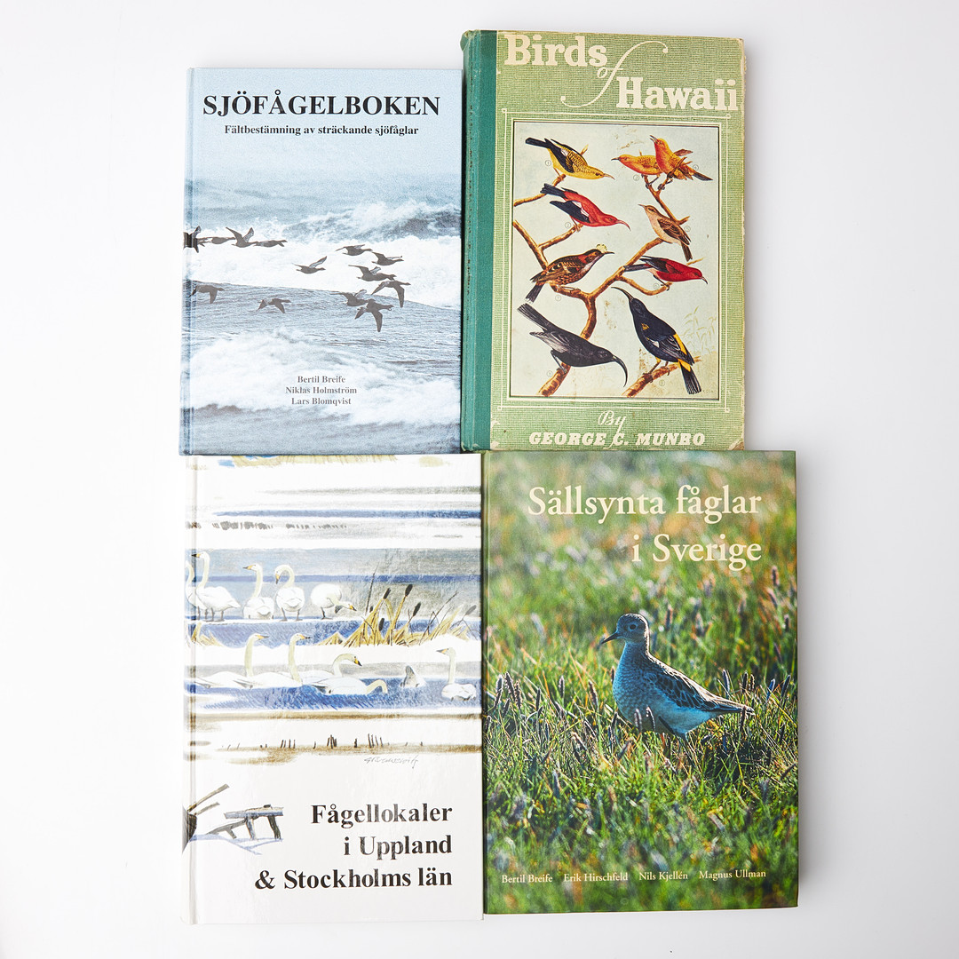 BÖCKER, 31 dlr., om fåglar, bland annat Svenska Fåglar, Olof Rubeck d.y:s, Svensk Fågelatlas, Svensson, Svensson, Tjernberg.
