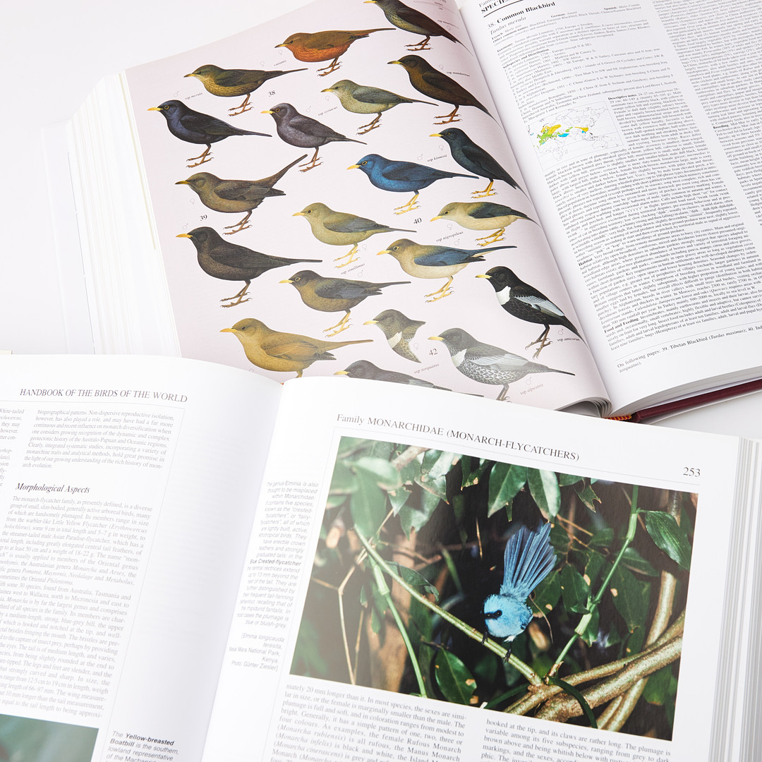 HANDBOOK OF THE BIRDS OF THE WORLD, 16 dlr., del Hoyo, Sargatal, Elliott, BirdLife International / Lynx Edictions.
