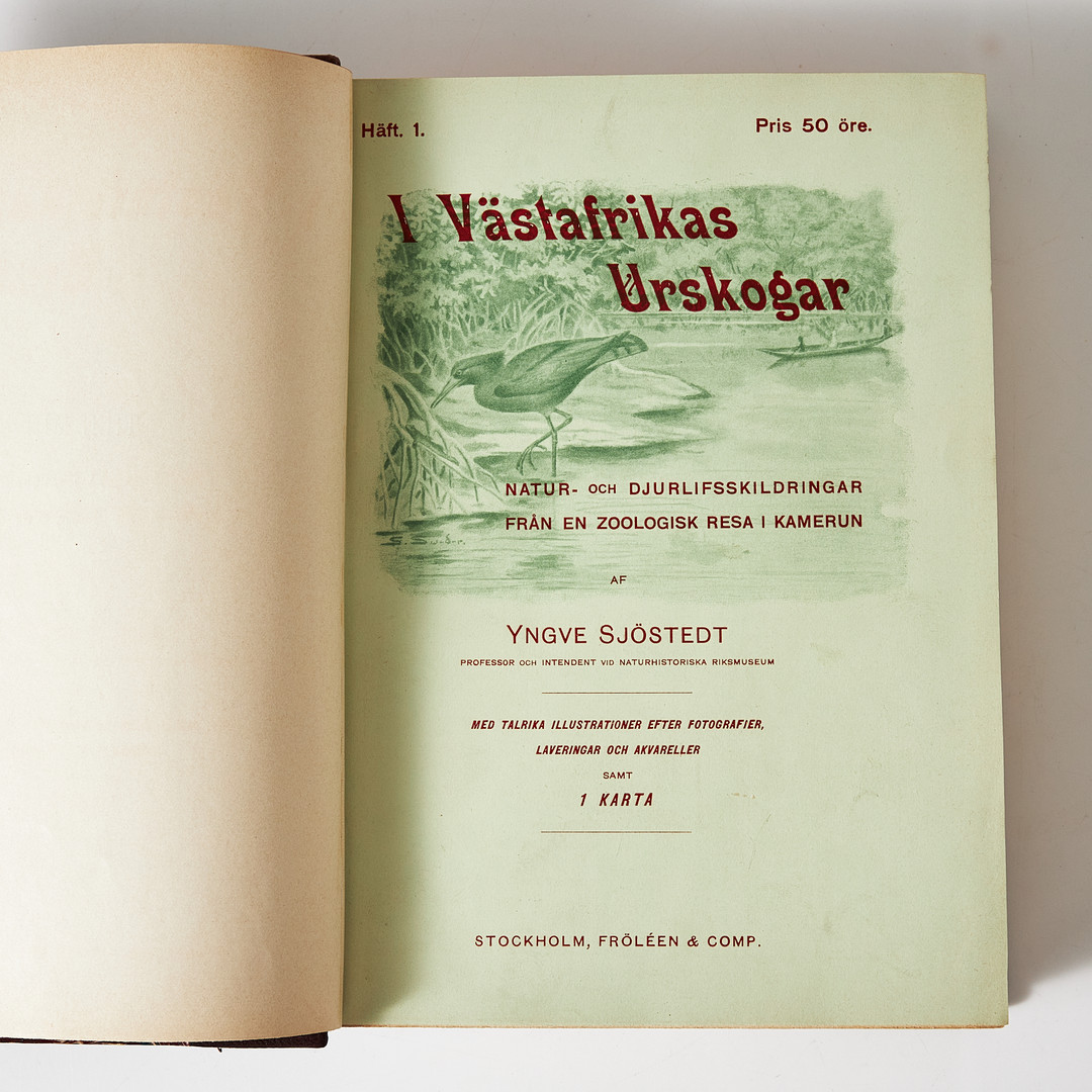 YNGVE SJÖSTEDT, I VÄSTAFRIKAS URSKOGAR, 1904. PLANSCHER I FÄRG.