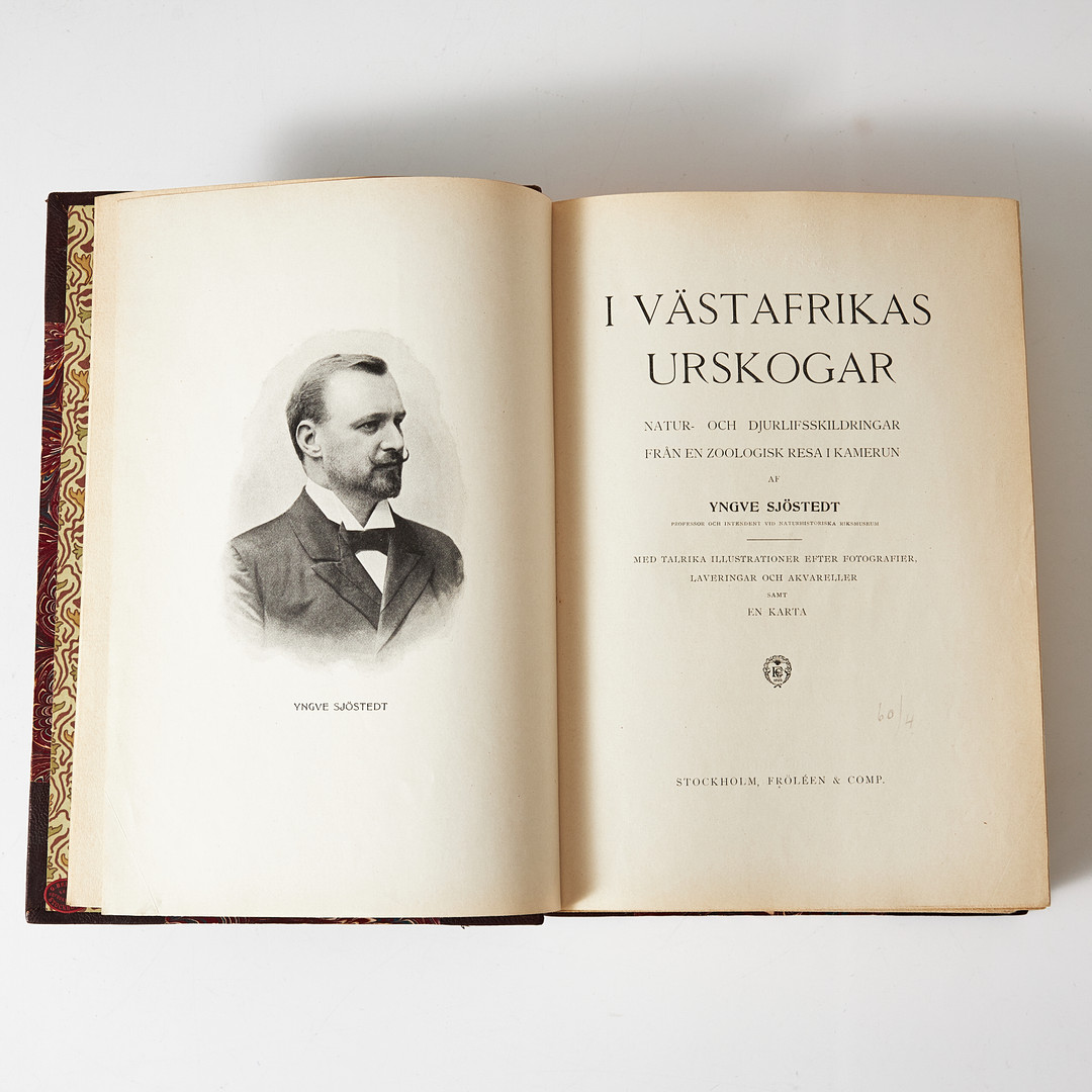 YNGVE SJÖSTEDT, I VÄSTAFRIKAS URSKOGAR, 1904. PLANSCHER I FÄRG.