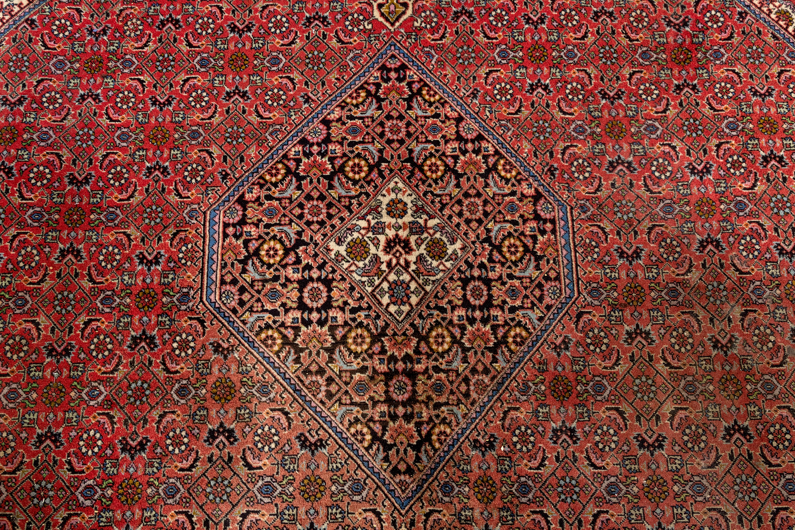 Bidjar, Teppich, 240 x 250 cm, Persien.