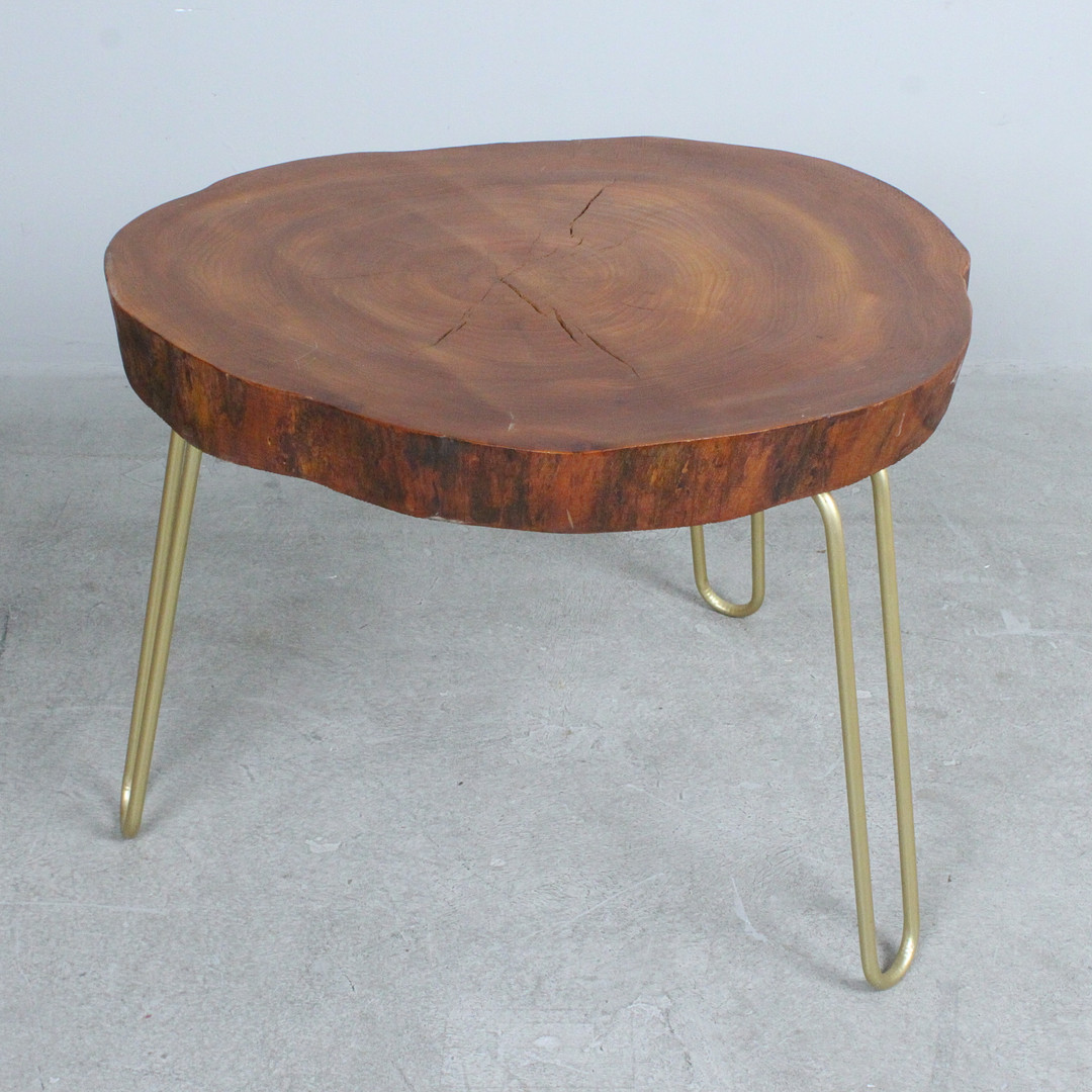 Couchtisch / Coffeetable / Baumscheibentisch.