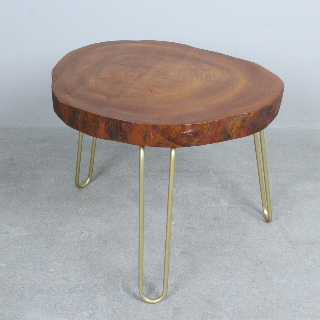 Couchtisch / Coffeetable / Baumscheibentisch.