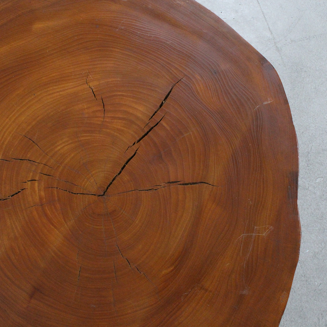 Couchtisch / Coffeetable / Baumscheibentisch.