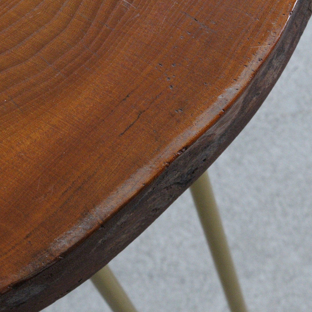 Couchtisch / Coffeetable / Baumscheibentisch.
