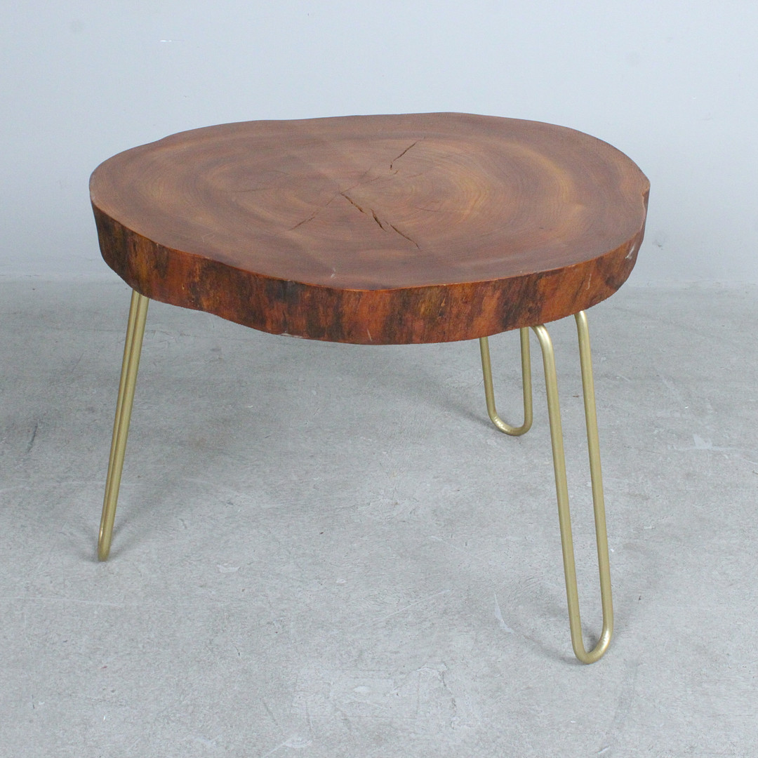 Couchtisch / Coffeetable / Baumscheibentisch.