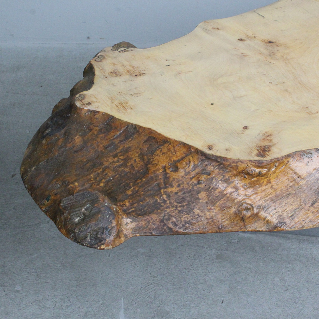 Couchtisch / Coffeetable / Baumscheibentisch.