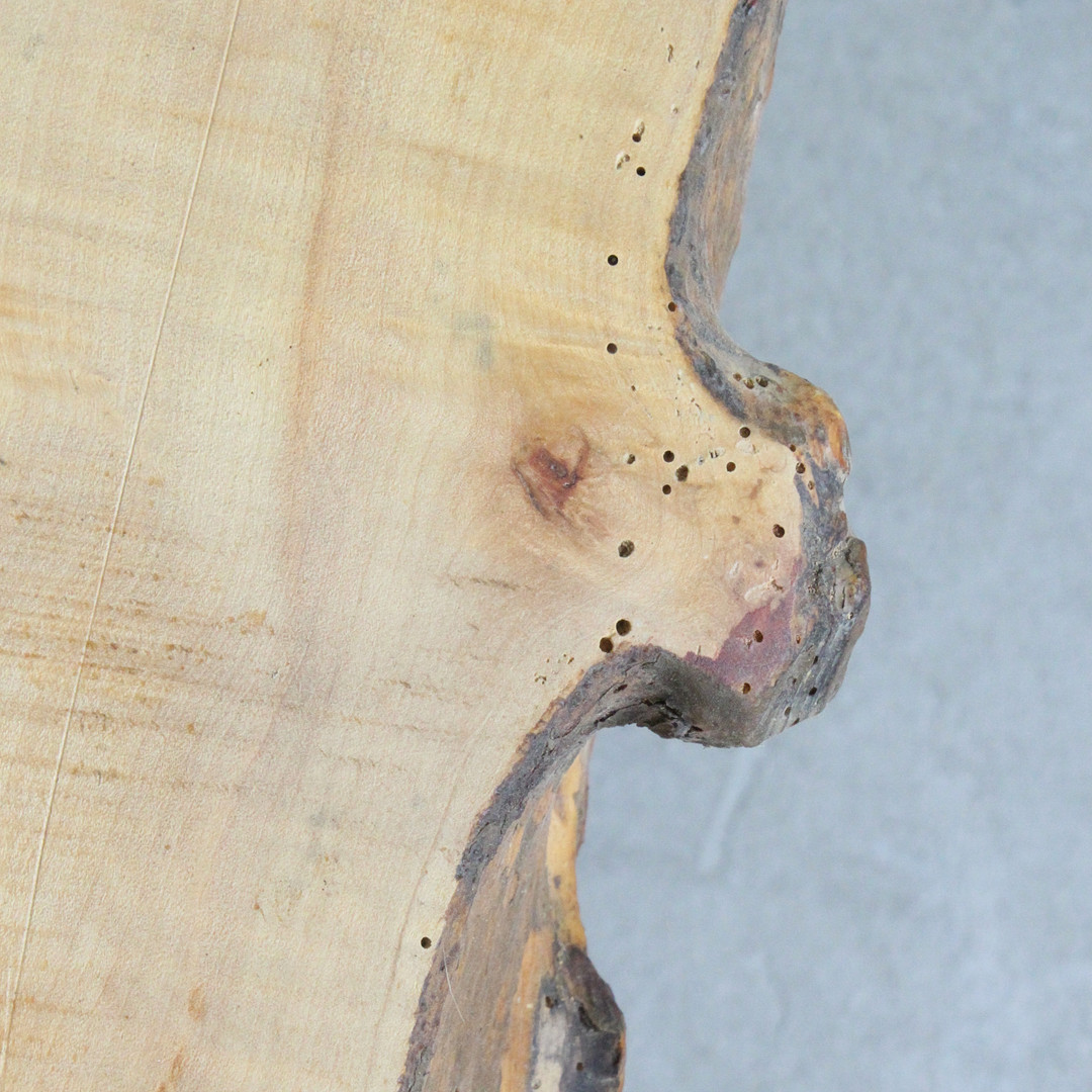 Couchtisch / Coffeetable / Baumscheibentisch.