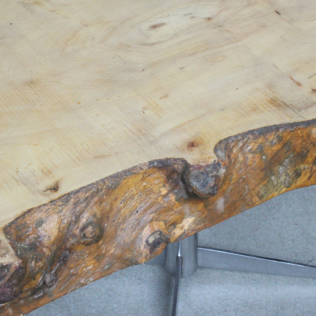Couchtisch / Coffeetable / Baumscheibentisch.