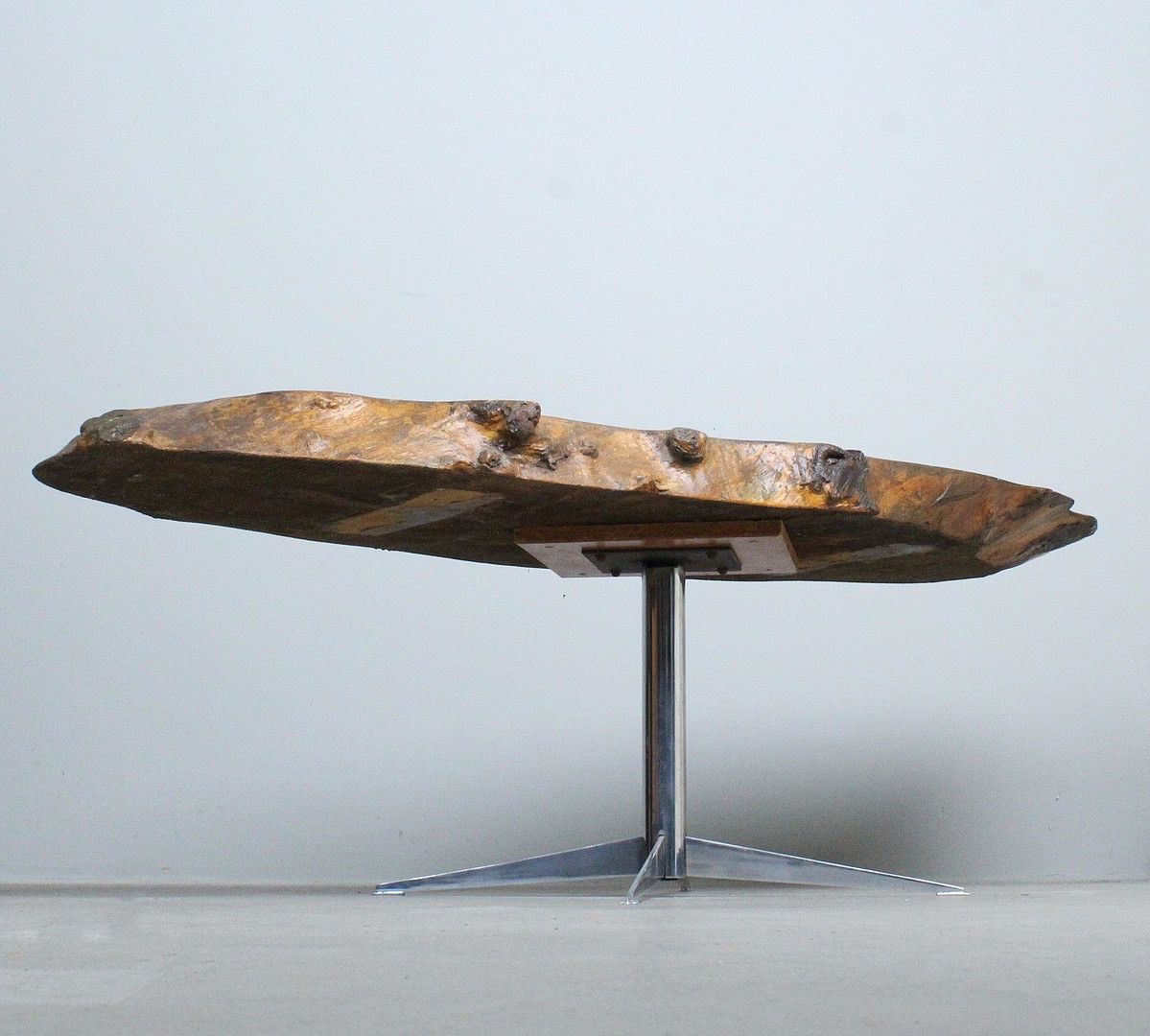 Couchtisch / Coffeetable / Baumscheibentisch.