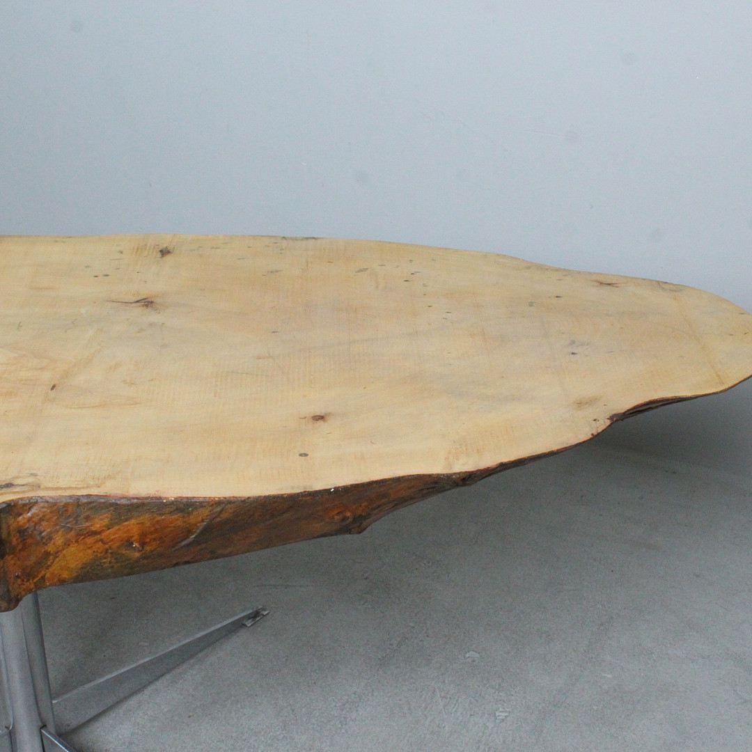 Couchtisch / Coffeetable / Baumscheibentisch.