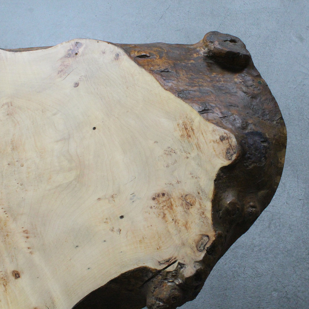 Couchtisch / Coffeetable / Baumscheibentisch.