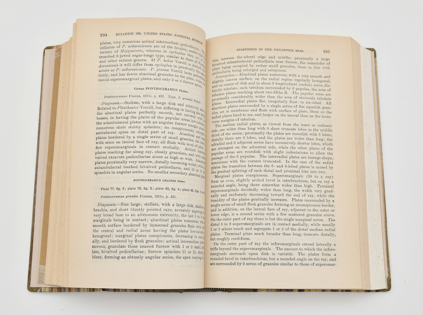 Starfishes of the Philippine Seas and Adjecent Waters by Walter K. Fisher.