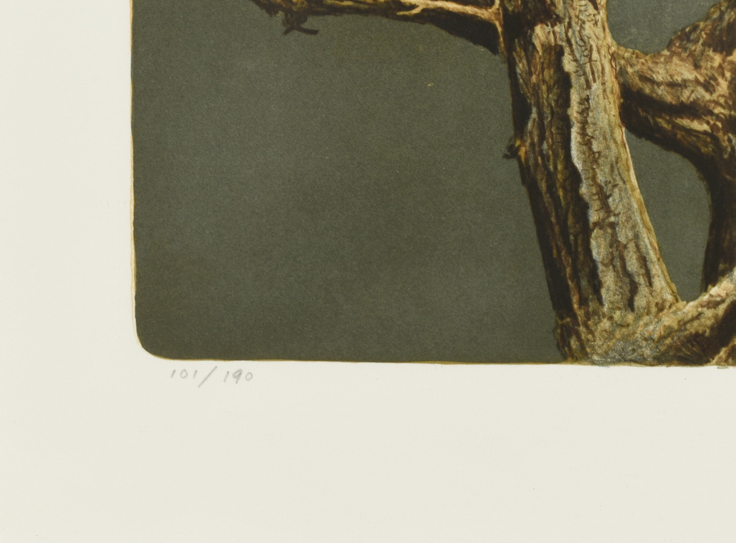 DAG PETERSON. Färglitografi, Uggla i träd, Signerad och numrerad 101/190.