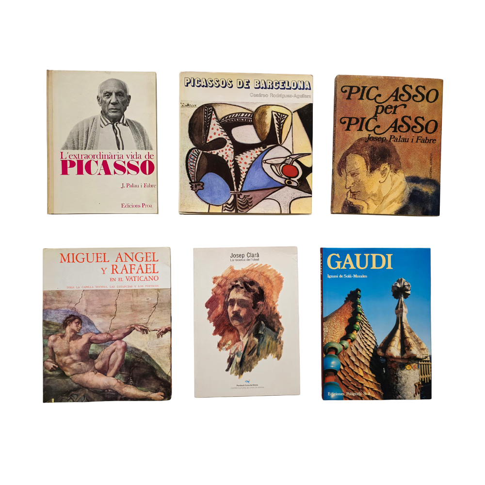 6 TOMOS: LIBROS DE ARTE DISTINTOS PICASSO,MIGUELANGEL Y RAFAEL,JOSEP CLARA Y GAUDI.